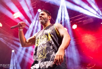 Cephalotripsy - Photo by Natalie