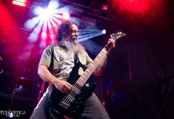 Cephalotripsy - Photo by Natalie