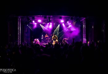 Cephalotripsy - Photo by Natalie