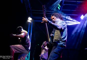 Cephalotripsy - Photo by Natalie