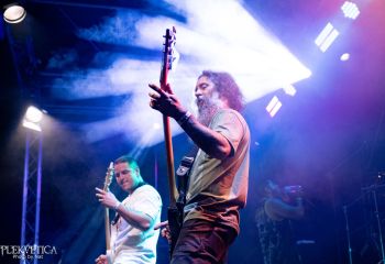 Cephalotripsy - Photo by Natalie