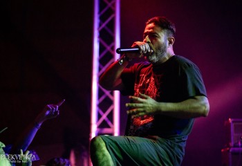 Cephalotripsy - Photo by Natalie