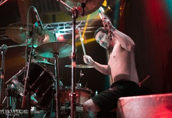 Cephalotripsy - Photo by Natalie