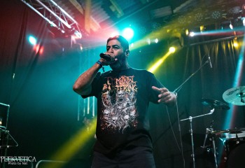 Cephalotripsy - Photo by Natalie