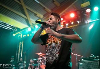 Cephalotripsy - Photo by Natalie