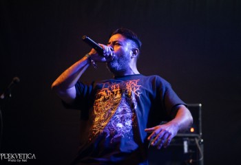 Cephalotripsy - Photo by Natalie