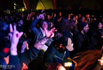 Cephalotripsy - Photo by Natalie