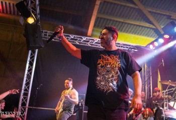 Cephalotripsy - Photo by Natalie