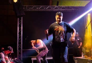 Cephalotripsy - Photo by Natalie