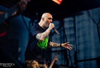 Coffin Feeder - Photo by Natalie