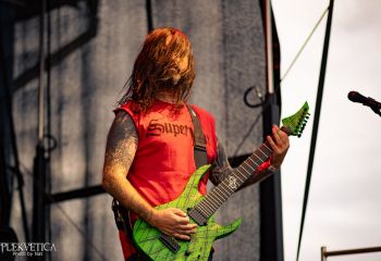 Coffin Feeder - Photo by Natalie