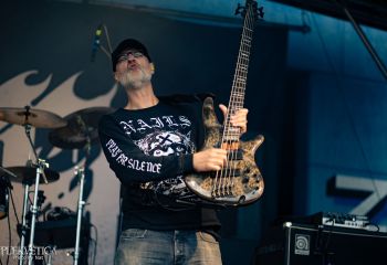 Coffin Feeder - Photo by Natalie