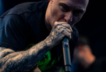 Coffin Feeder - Photo by Natalie