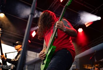 Coffin Feeder - Photo by Natalie