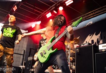 Coffin Feeder - Photo by Natalie