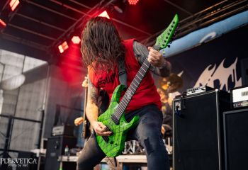 Coffin Feeder - Photo by Natalie