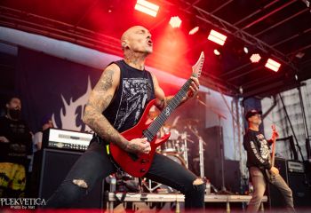 Coffin Feeder - Photo by Natalie