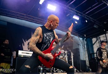 Coffin Feeder - Photo by Natalie