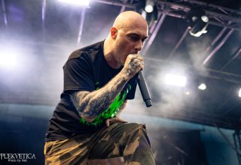 Coffin Feeder - Photo by Natalie