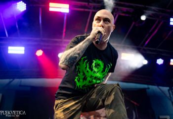 Coffin Feeder - Photo by Natalie