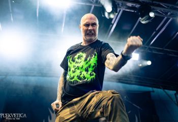 Coffin Feeder - Photo by Natalie