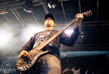 Coffin Feeder - Photo by Natalie