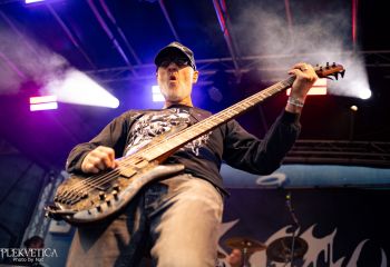 Coffin Feeder - Photo by Natalie