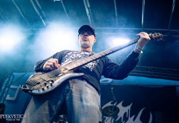 Coffin Feeder - Photo by Natalie