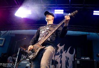 Coffin Feeder - Photo by Natalie