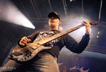 Coffin Feeder - Photo by Natalie