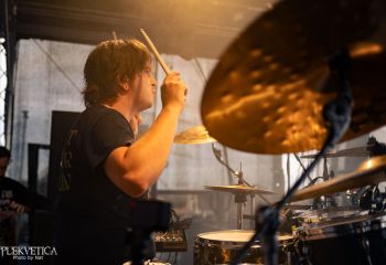 Coffin Feeder - Photo by Natalie