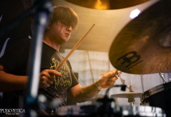 Coffin Feeder - Photo by Natalie