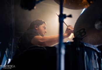 Coffin Feeder - Photo by Natalie