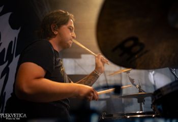 Coffin Feeder - Photo by Natalie