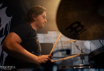 Coffin Feeder - Photo by Natalie