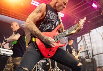 Coffin Feeder - Photo by Natalie