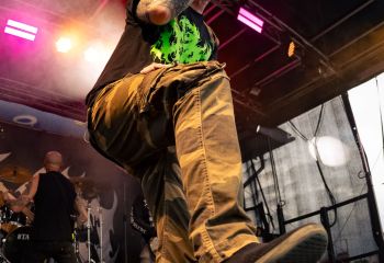 Coffin Feeder - Photo by Natalie