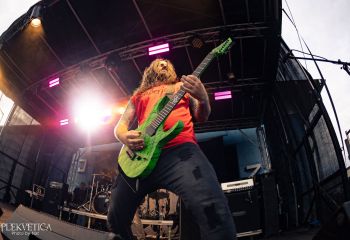 Coffin Feeder - Photo by Natalie