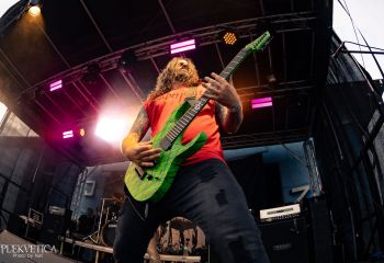 Coffin Feeder - Photo by Natalie