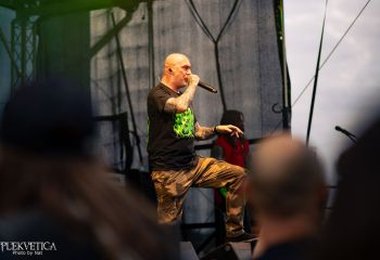 Coffin Feeder - Photo by Natalie