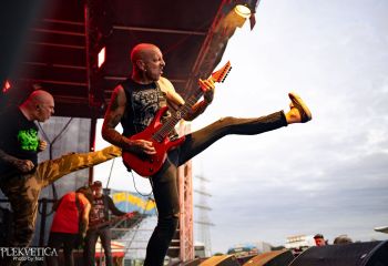 Coffin Feeder - Photo by Natalie