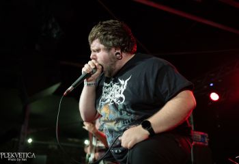 Cognitive - Photo by Natalie