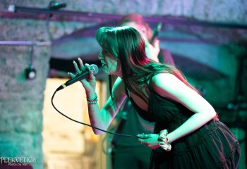 Connector - Photo by Natalie