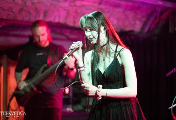 Connector - Photo by Natalie