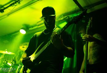 Consumed by Vultures - Photo by Natalie