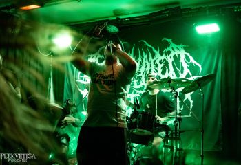 Consumed by Vultures - Photo by Natalie