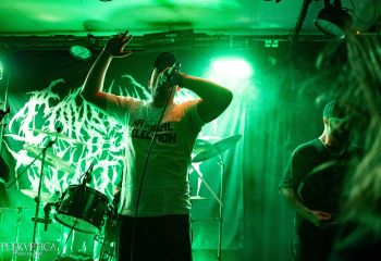 Consumed by Vultures - Photo by Natalie