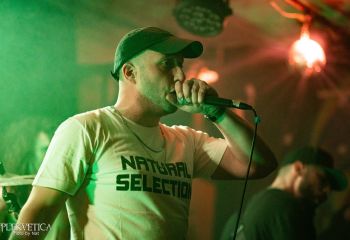 Consumed by Vultures - Photo by Natalie