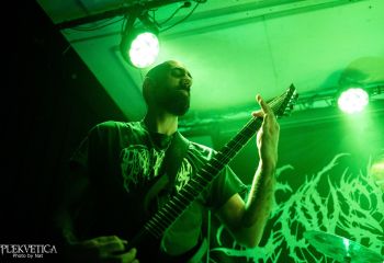 Consumed by Vultures - Photo by Natalie