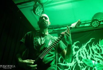 Consumed by Vultures - Photo by Natalie